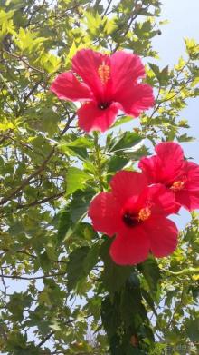 Самостоятельное путешествие по окрестностям Мармариса