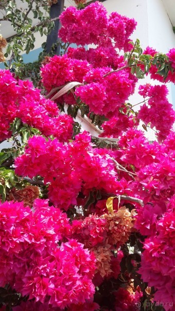 Самостоятельное путешествие по окрестностям Мармариса