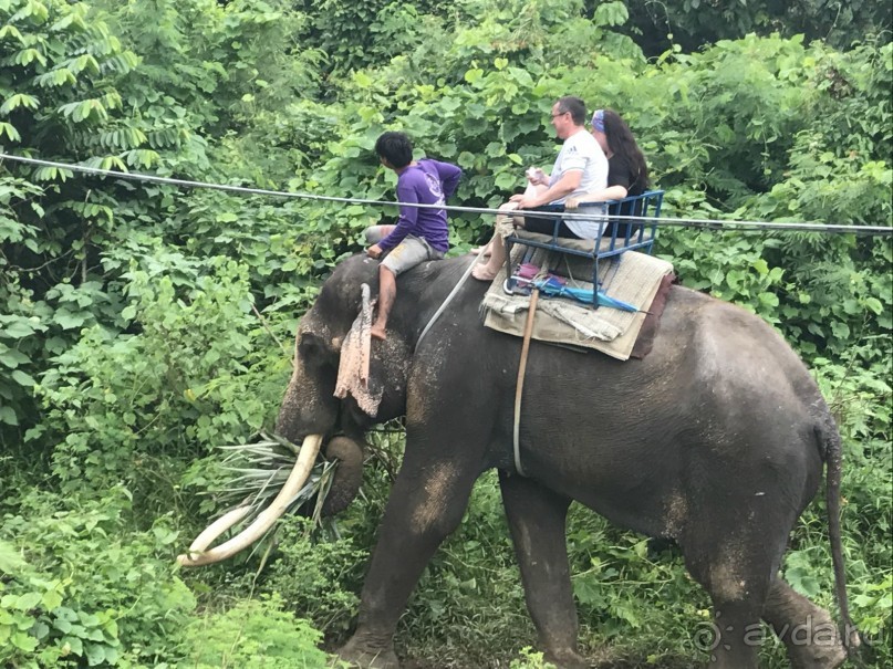 Лето в Паттайе 