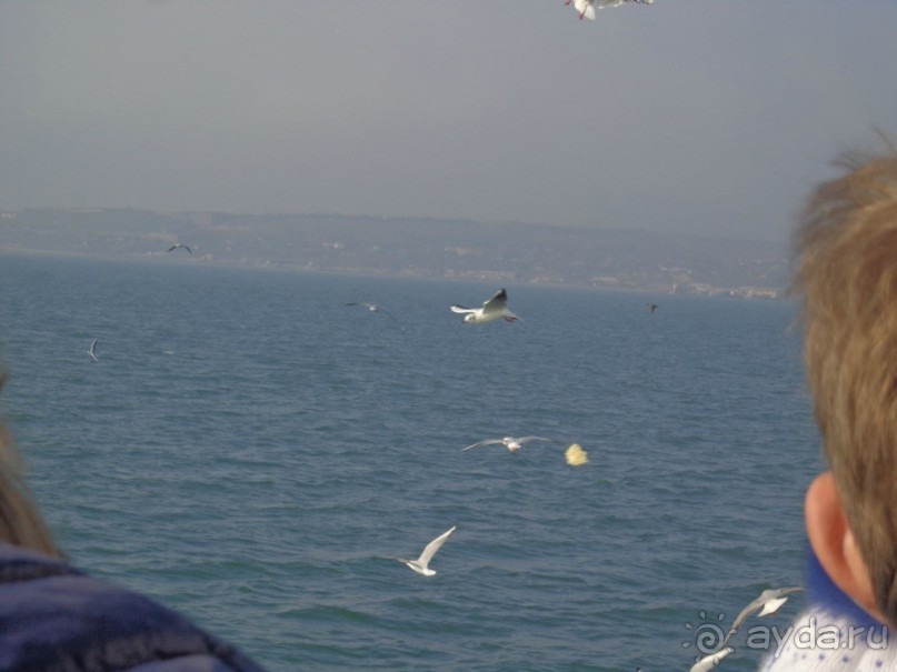 Путешествие в Крым