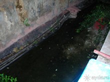 Дырка в заднице Турции