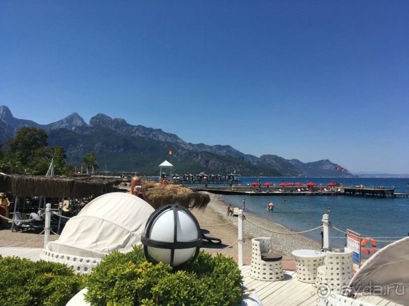 фото Balmy Foresta 