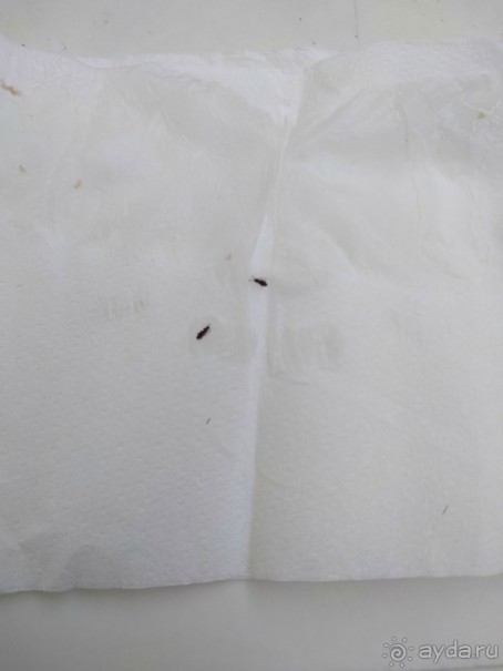 Это худший отель!!!