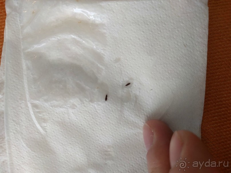 Это худший отель!!!