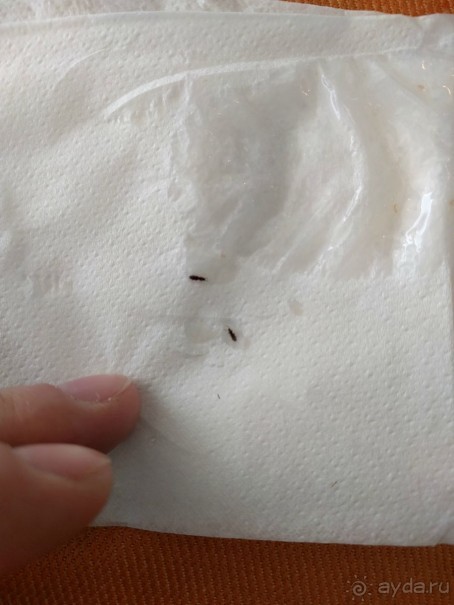 Это худший отель!!!