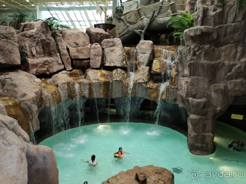 В Южную Корею без тура.