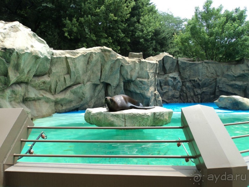 В Южную Корею без тура.