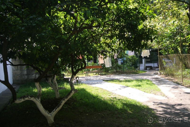 Альбом отзыва "Старые Гагры, мой первый отдых в Абхазии - Мой сладкий отдых в Гаграх оказался одним из лучших. "