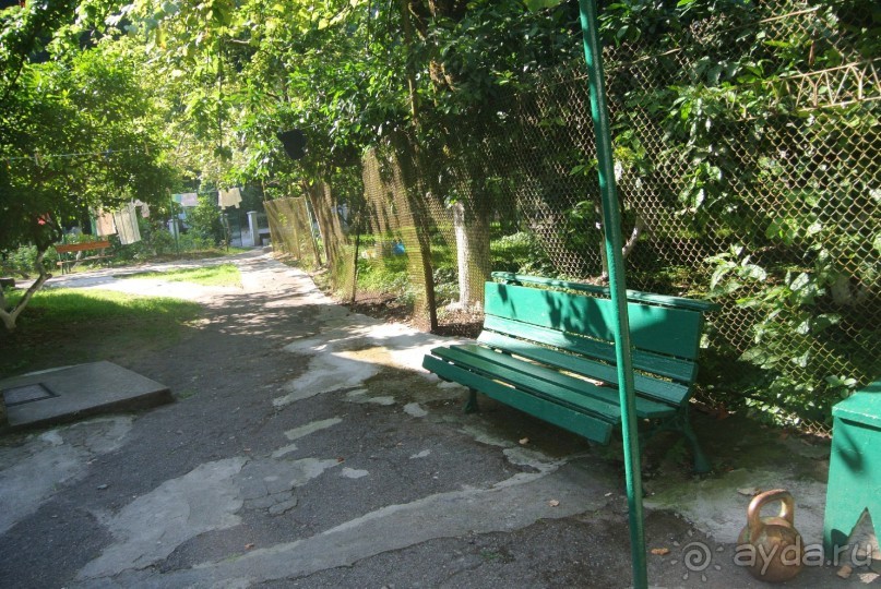 Альбом отзыва "Старые Гагры, мой первый отдых в Абхазии - Мой сладкий отдых в Гаграх оказался одним из лучших. "