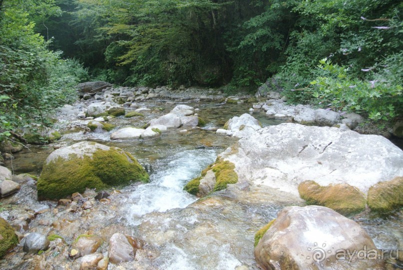 Альбом отзыва "Старые Гагры, мой первый отдых в Абхазии - Мой сладкий отдых в Гаграх оказался одним из лучших. "