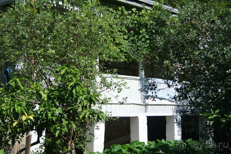 Альбом отзыва "Старые Гагры, мой первый отдых в Абхазии - Мой сладкий отдых в Гаграх оказался одним из лучших. "