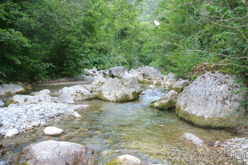 Альбом отзыва "Старые Гагры, мой первый отдых в Абхазии - Мой сладкий отдых в Гаграх оказался одним из лучших. "