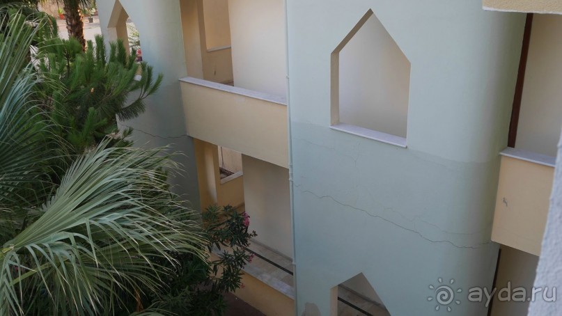 фото Titan Garden