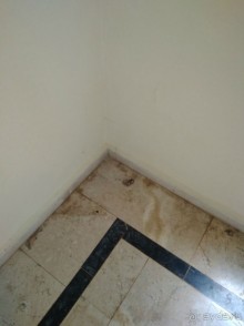 фото Titan Garden