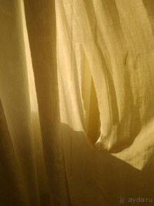 фото Titan Garden