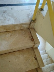 фото Titan Garden