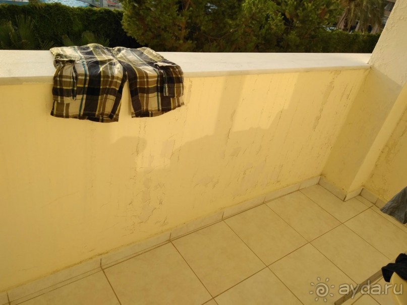 фото Titan Garden