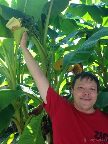 Отзыв об пансионате Айтар