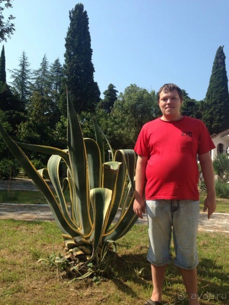 Отзыв об пансионате Айтар