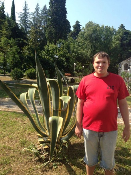 Отзыв об пансионате Айтар