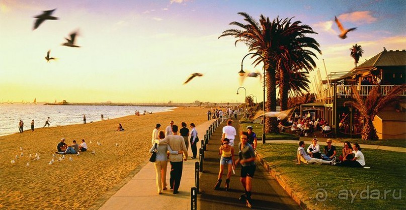 Австралия: как добраться, где остановиться, что посмотреть 