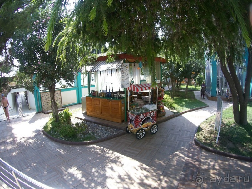 Твердая и Вкусная 5! Море 4!