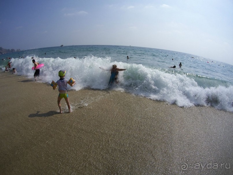 Твердая и Вкусная 5! Море 4!