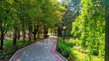 фото Солнечный
