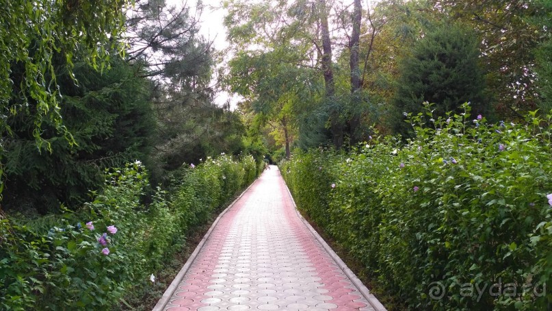 Отель прекрасно подходит для спокойного оздоровительного отдыха с детьми.   