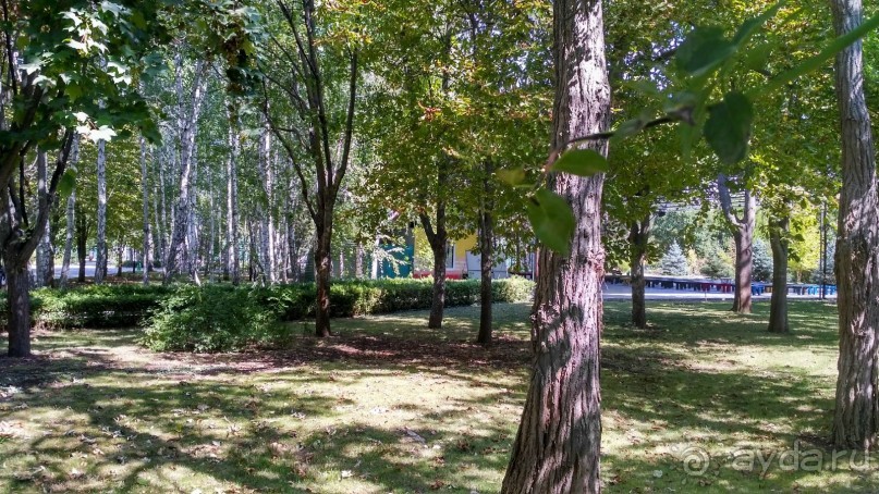 Отель прекрасно подходит для спокойного оздоровительного отдыха с детьми.   