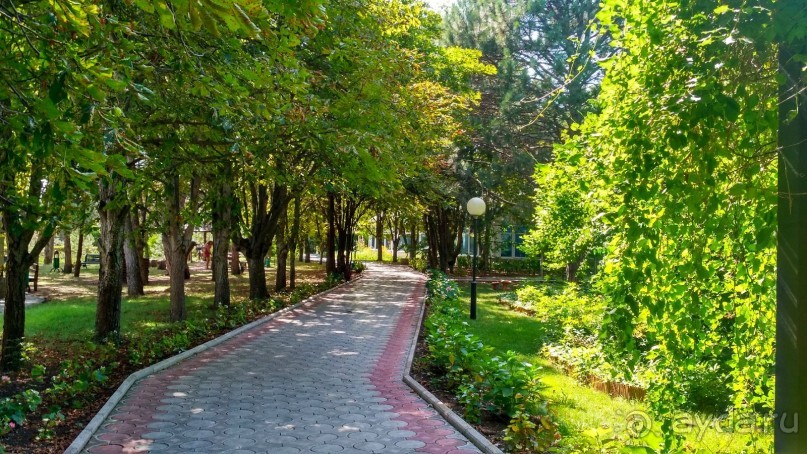 Отель прекрасно подходит для спокойного оздоровительного отдыха с детьми.   