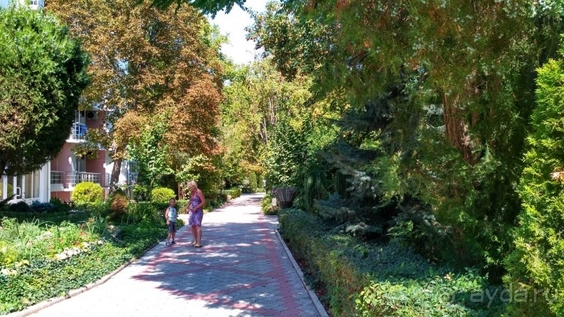 Отель прекрасно подходит для спокойного оздоровительного отдыха с детьми.   