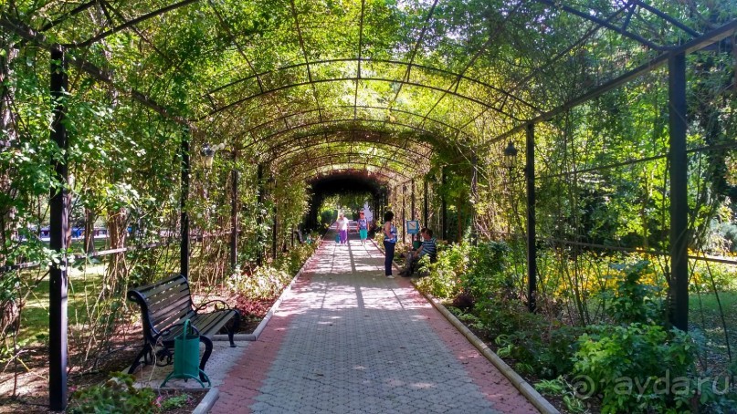 Отель прекрасно подходит для спокойного оздоровительного отдыха с детьми.   