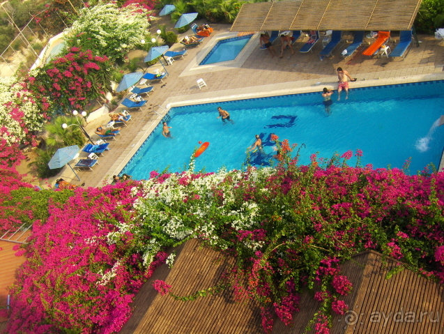 фото Ipanema Park