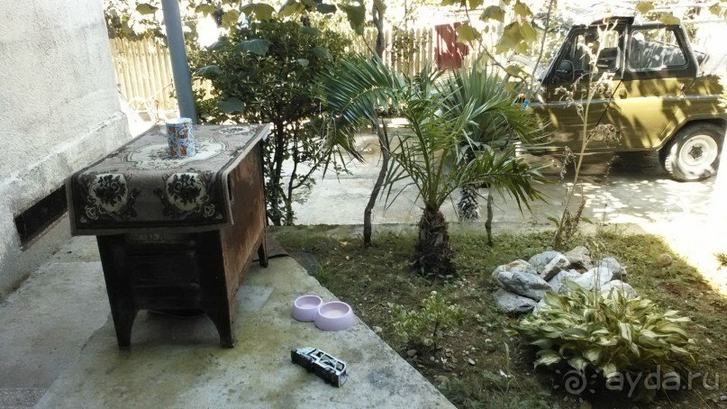 Рекомендую