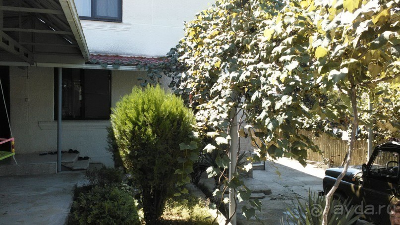 Рекомендую