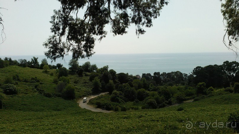 Рекомендую