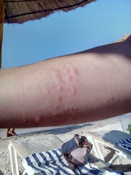 Купаться в море опасно