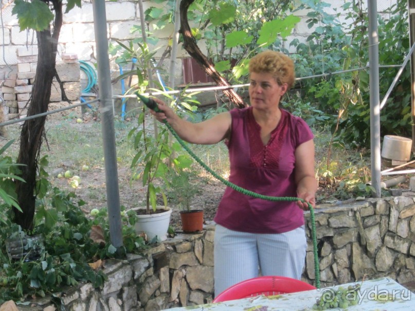 Отлично все понравилось для отдыха в России неплохо