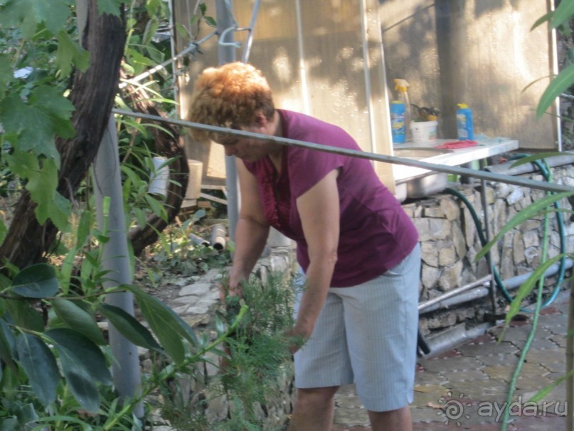 Для Российского курорта очень неплохо