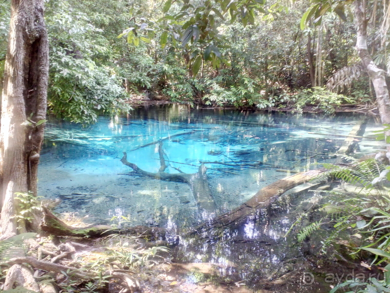 Альбом отзыва "Эмеральд Пул и шикарный заповедник в джунглях"