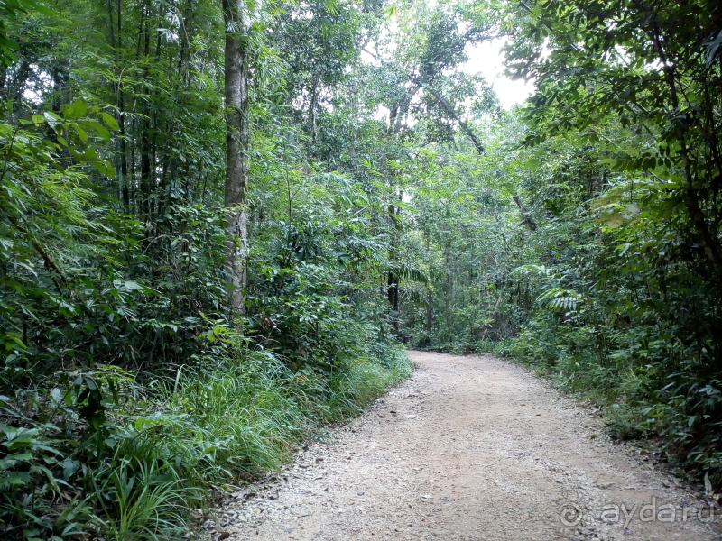 Альбом отзыва "Эмеральд Пул и шикарный заповедник в джунглях"