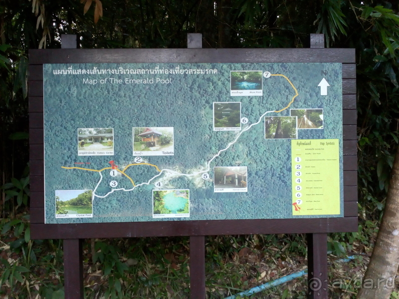 Альбом отзыва "Эмеральд Пул и шикарный заповедник в джунглях"