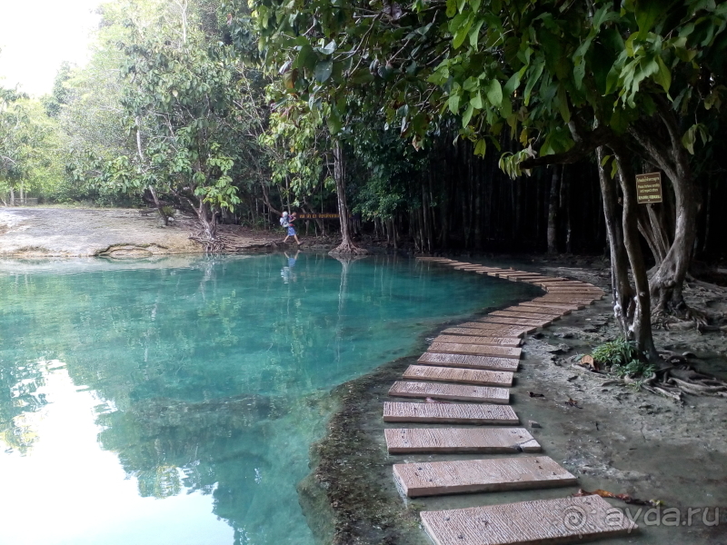 Альбом отзыва "Эмеральд Пул и шикарный заповедник в джунглях"