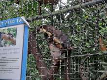 Парк птиц на Пхукете Парк птиц на Пхукете