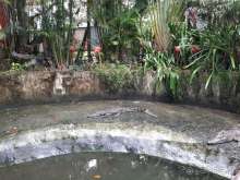 Парк птиц на Пхукете Парк птиц на Пхукете