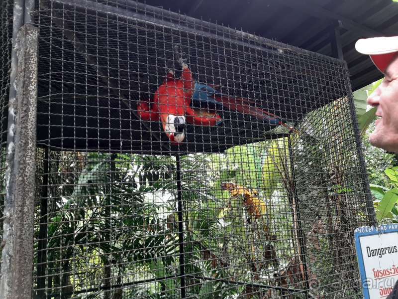 Альбом отзыва 