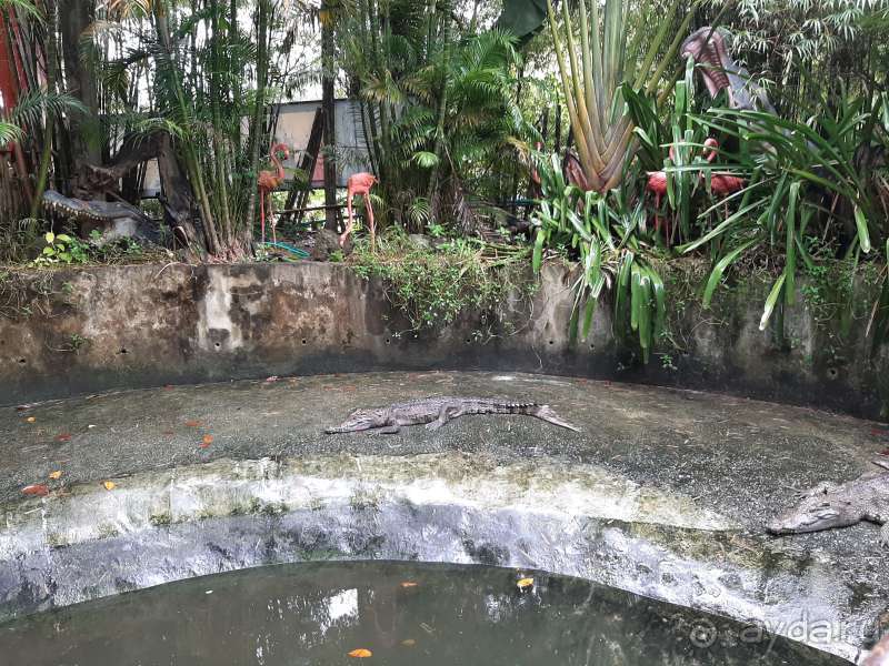 Альбом отзыва 