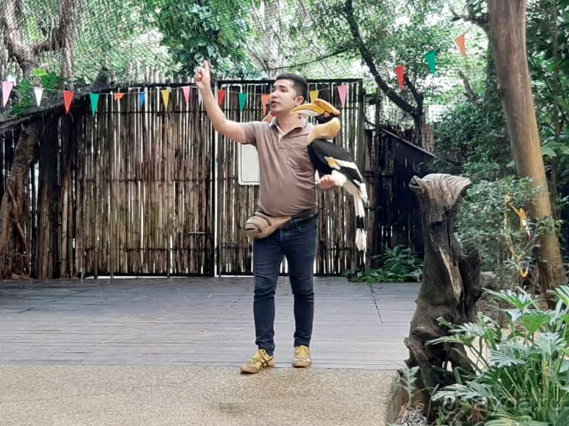 Парк птиц на Пхукете 