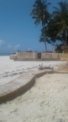 Кения - любовь моя)